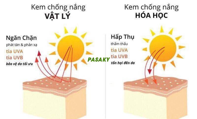 So Sánh Kem Chống Nắng Vật Lý Và Hóa Học – Loại Nào Tốt Hơn?
